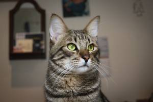 Marie-Emmanuelle DIOT LAPORTE - Memograph